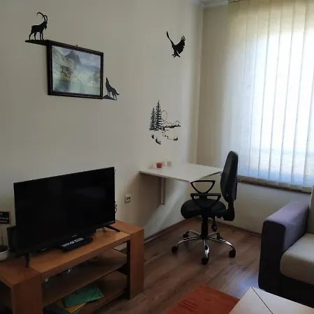 Apartment Pine Tree D34