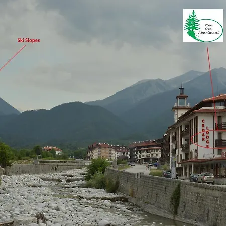 شقة Pine Tree D34