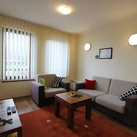 Pine Tree D34 بانسكو