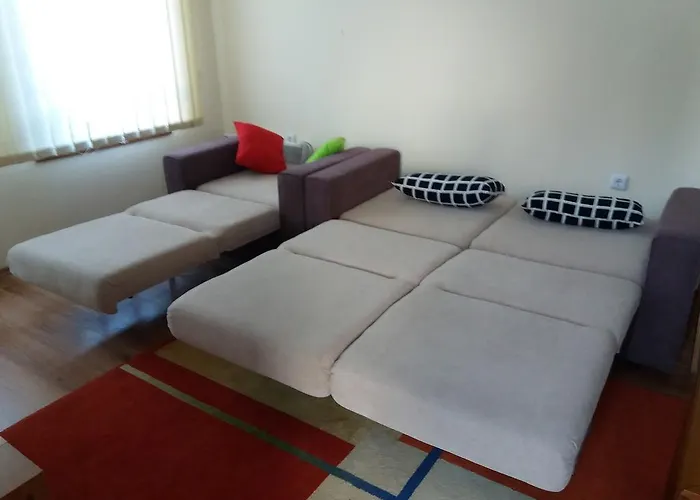 Pine Tree D34 班斯科