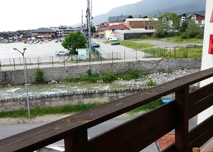 Pine Tree D34 班斯科