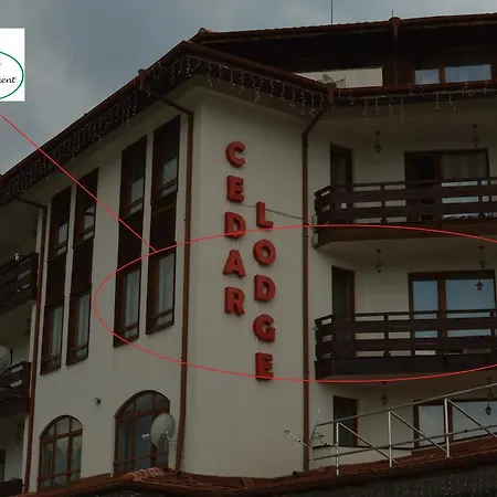 Pine Tree D34 * Bansko