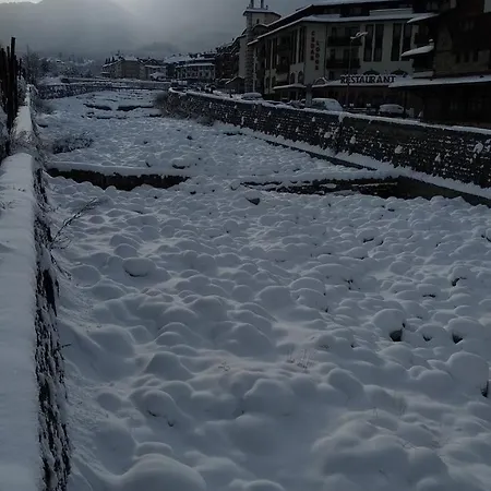 Pine Tree D34 * Bansko