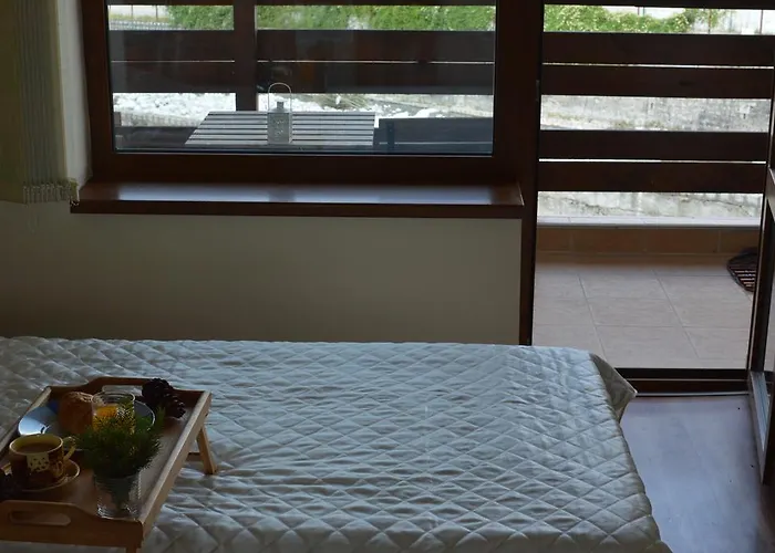 Pine Tree D34 * バンスコ