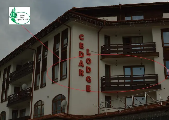 Pine Tree D34 * バンスコ