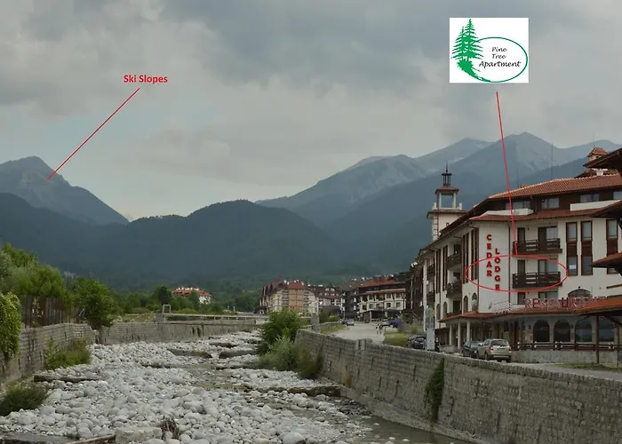 Apartment Pine Tree D34