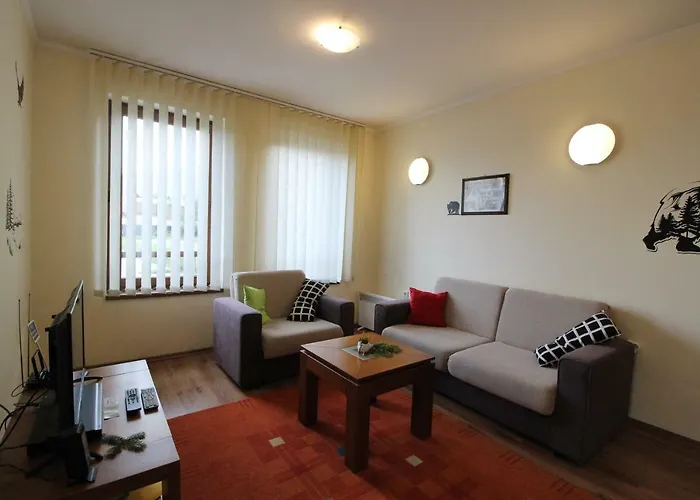 Pine Tree D34 バンスコ